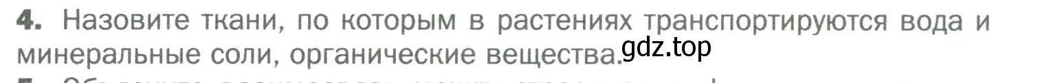 Условие номер 4 (страница 47) гдз по биологии 6 класс Пономарева, Корнилова, учебник