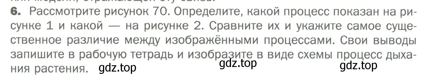 Условие номер 6 (страница 101) гдз по биологии 6 класс Пономарева, Корнилова, учебник