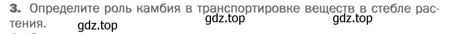 Условие номер 3 (страница 115) гдз по биологии 6 класс Пономарева, Корнилова, учебник