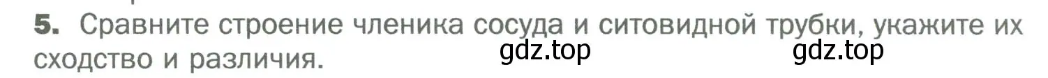 Условие номер 5 (страница 115) гдз по биологии 6 класс Пономарева, Корнилова, учебник