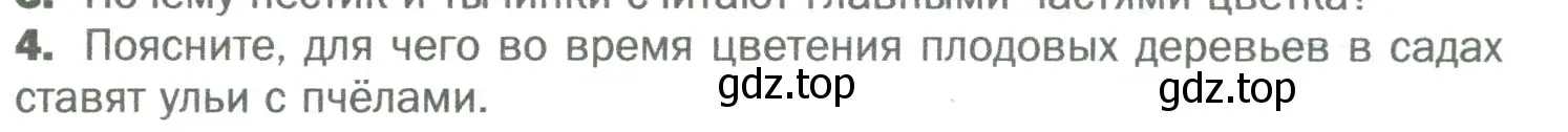 Условие номер 4 (страница 137) гдз по биологии 6 класс Пономарева, Корнилова, учебник