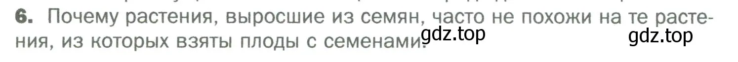 Условие номер 6 (страница 137) гдз по биологии 6 класс Пономарева, Корнилова, учебник