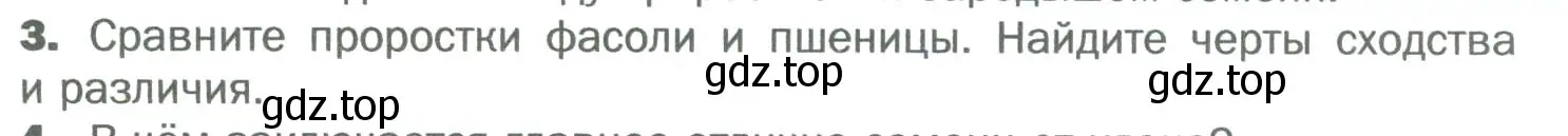 Условие номер 3 (страница 163) гдз по биологии 6 класс Пономарева, Корнилова, учебник