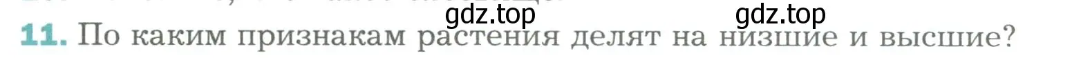 Условие номер 11 (страница 48) гдз по биологии 6 класс Пономарева, Корнилова, учебник