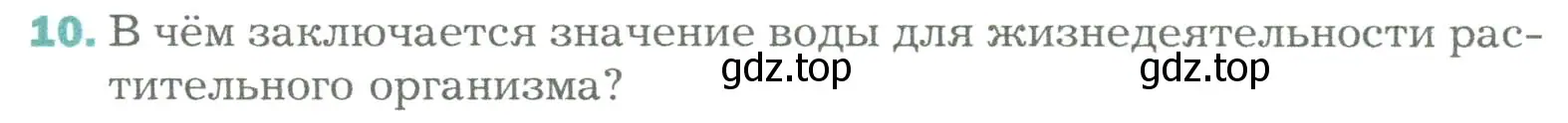 Условие номер 10 (страница 123) гдз по биологии 6 класс Пономарева, Корнилова, учебник