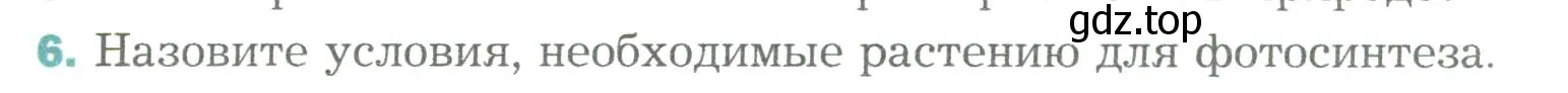 Условие номер 6 (страница 123) гдз по биологии 6 класс Пономарева, Корнилова, учебник