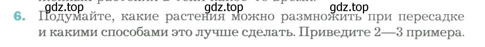 Условие номер 6 (страница 176) гдз по биологии 6 класс Пономарева, Корнилова, учебник