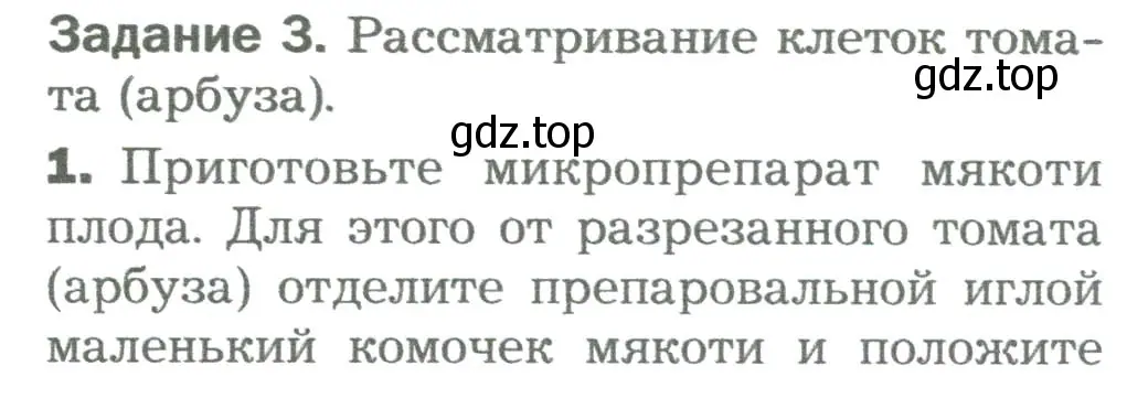 Условие номер 3 (страница 36) гдз по биологии 6 класс Пономарева, Корнилова, учебник