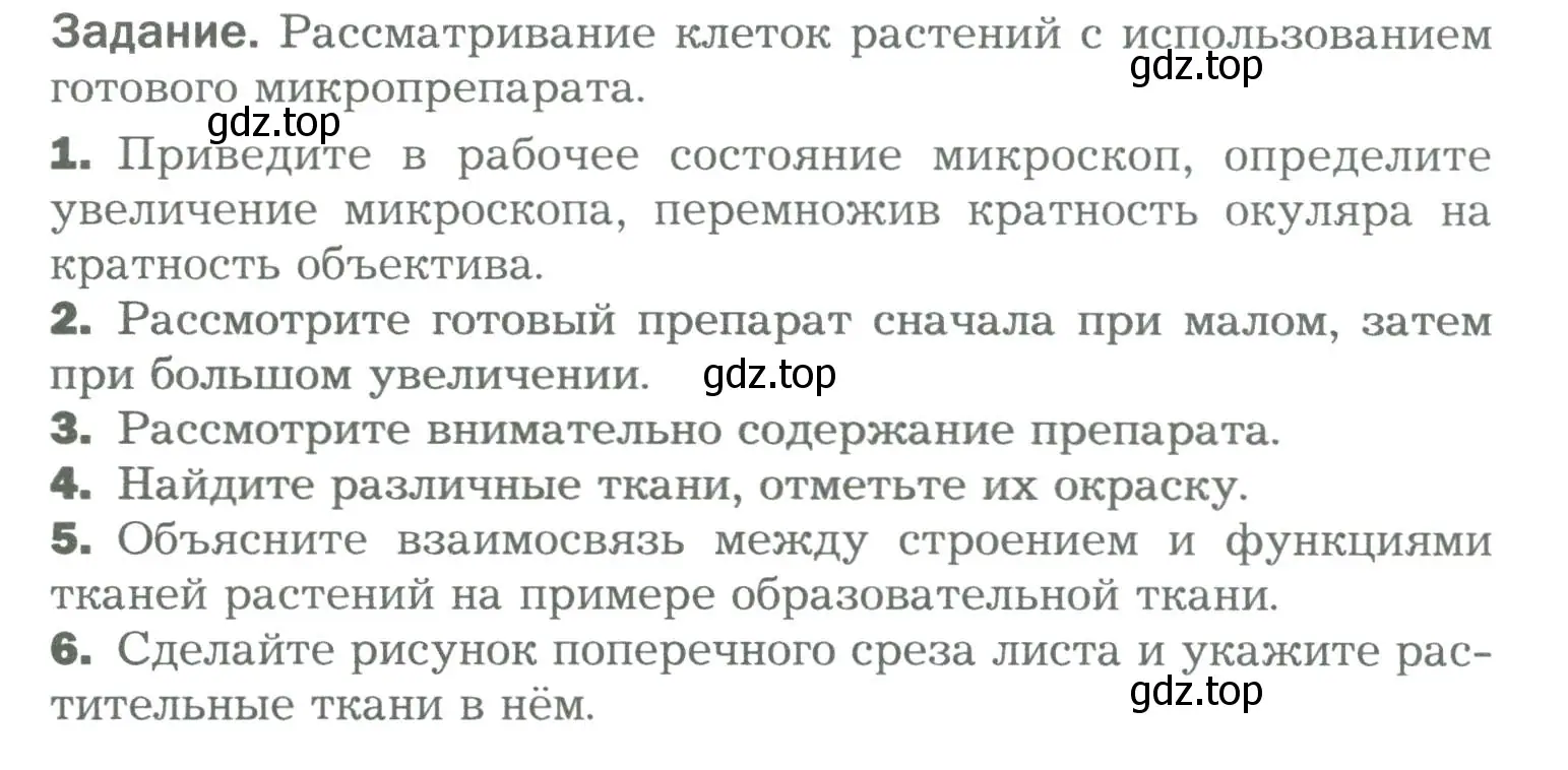 Условие  Лабораторная работа 3 (страница 46) гдз по биологии 6 класс Пономарева, Корнилова, учебник