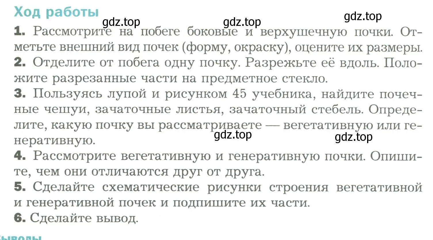 Условие  Лабораторная работа 5 (страница 74) гдз по биологии 6 класс Пономарева, Корнилова, учебник