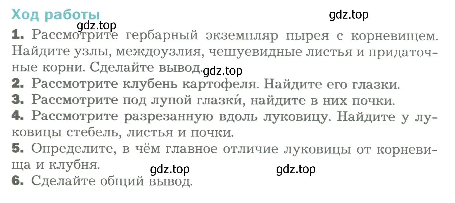 Условие  Лабораторная работа 6 (страница 78) гдз по биологии 6 класс Пономарева, Корнилова, учебник