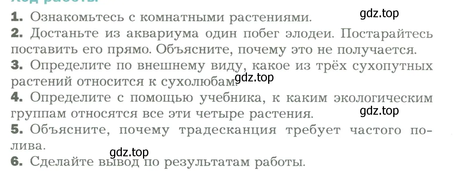 Условие  Лабораторная работа 9 (страница 105) гдз по биологии 6 класс Пономарева, Корнилова, учебник