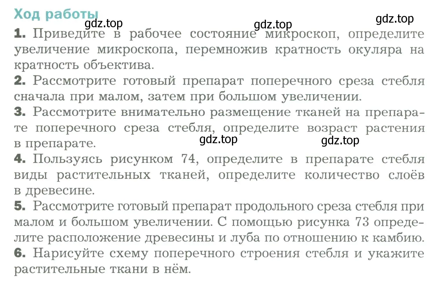 Условие  Лабораторная работа 11 (страница 115) гдз по биологии 6 класс Пономарева, Корнилова, учебник