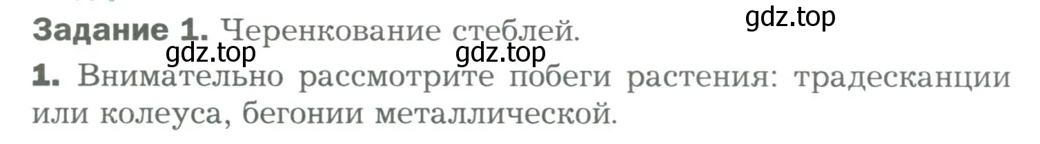 Условие номер 1 (страница 147) гдз по биологии 6 класс Пономарева, Корнилова, учебник