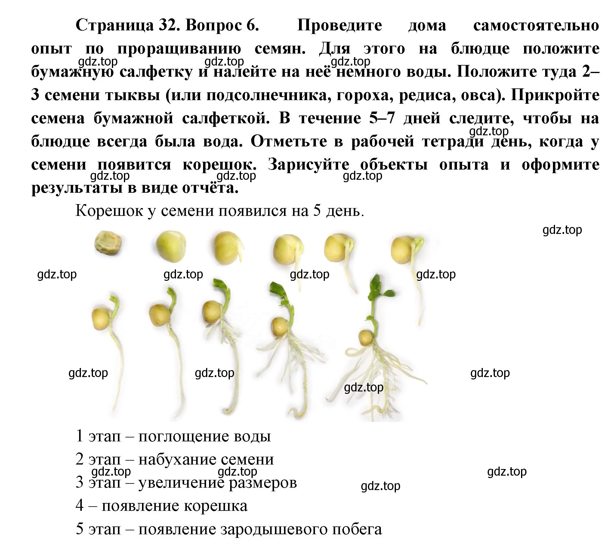 Решение номер 6 (страница 32) гдз по биологии 6 класс Пономарева, Корнилова, учебник