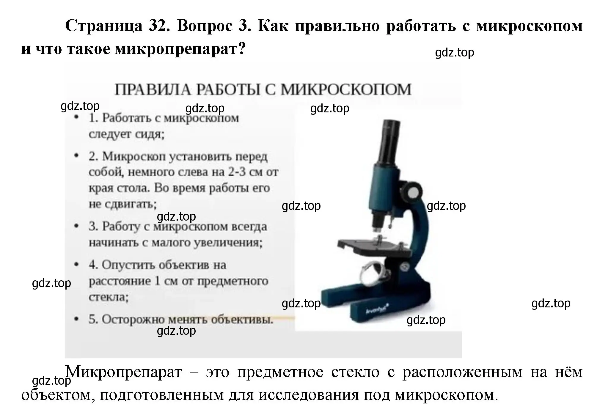 Решение номер 3 (страница 32) гдз по биологии 6 класс Пономарева, Корнилова, учебник