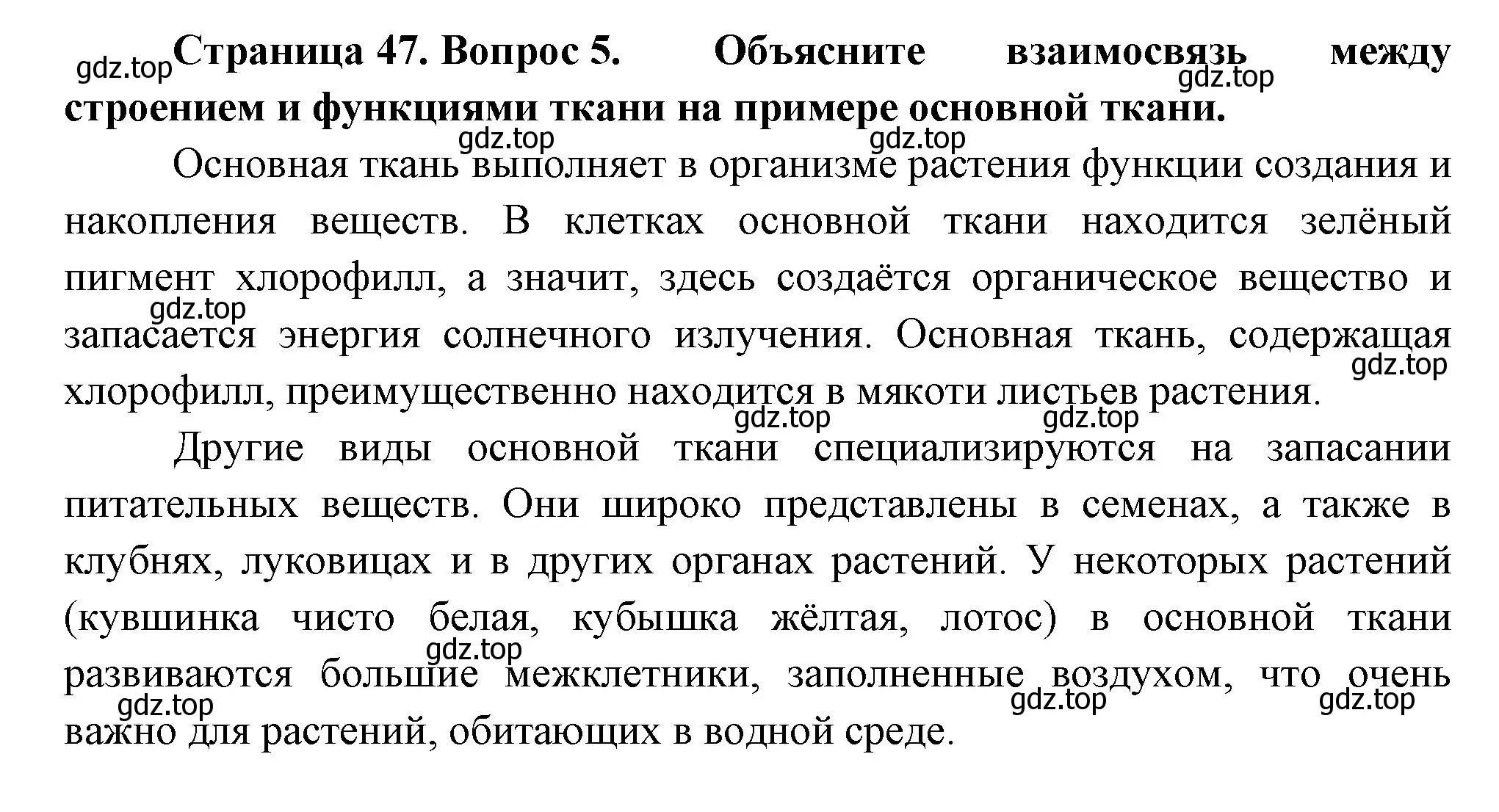 Решение номер 5 (страница 47) гдз по биологии 6 класс Пономарева, Корнилова, учебник