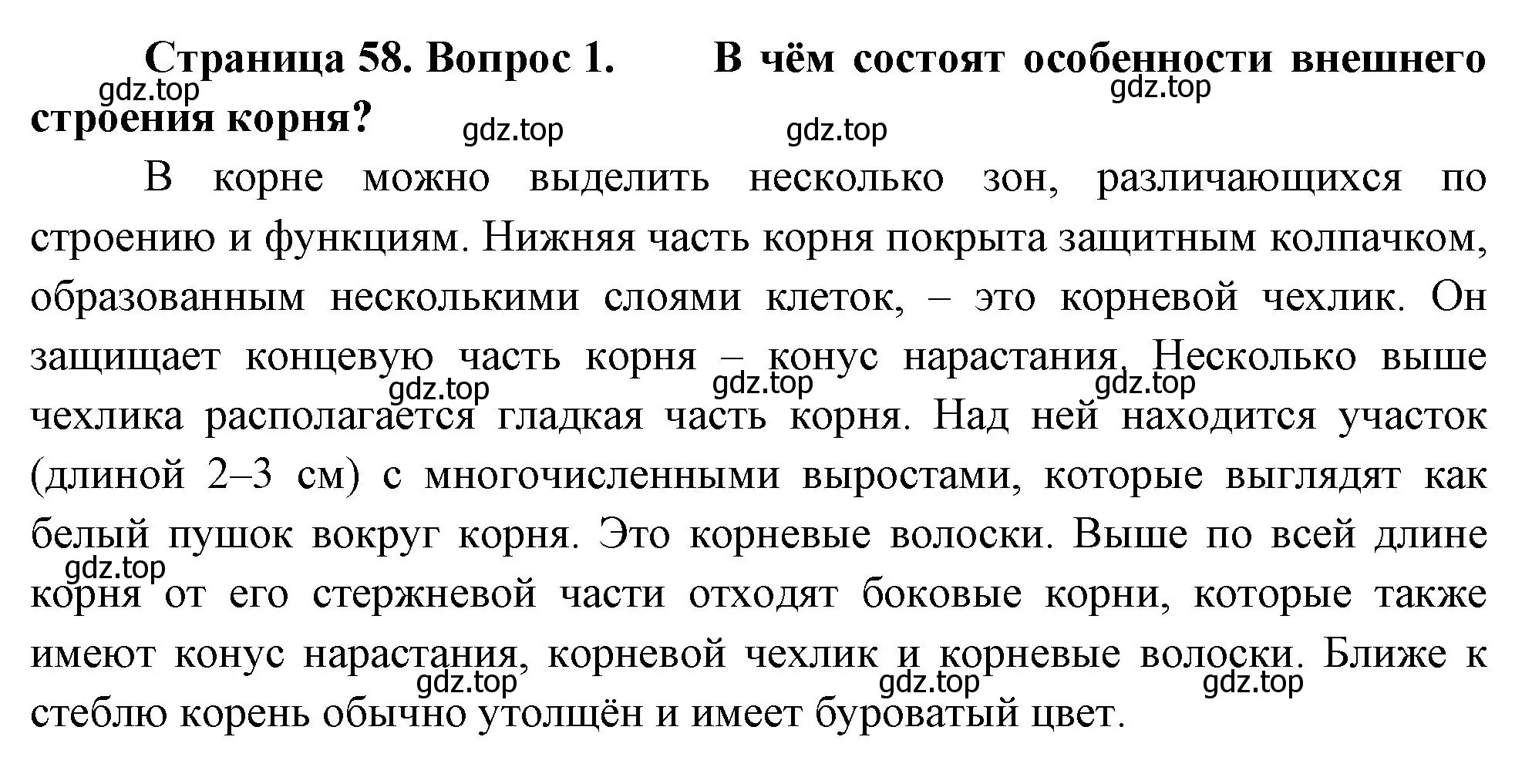 Решение номер 1 (страница 58) гдз по биологии 6 класс Пономарева, Корнилова, учебник