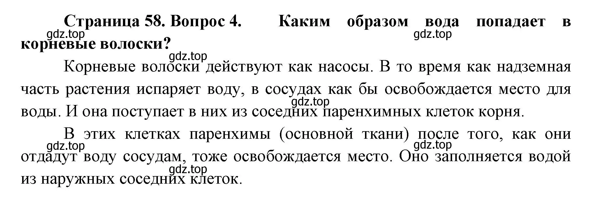 Решение номер 4 (страница 58) гдз по биологии 6 класс Пономарева, Корнилова, учебник