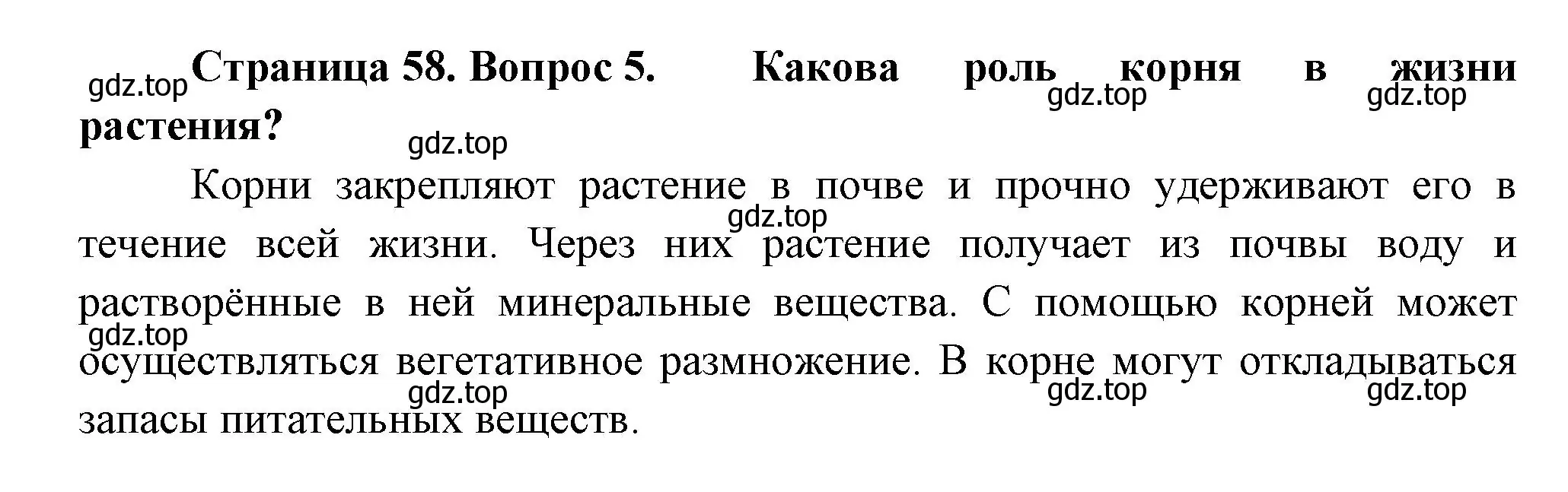 Решение номер 5 (страница 58) гдз по биологии 6 класс Пономарева, Корнилова, учебник