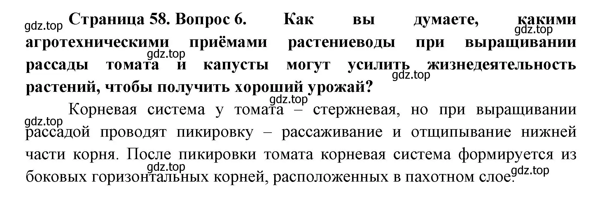 Решение номер 6 (страница 58) гдз по биологии 6 класс Пономарева, Корнилова, учебник