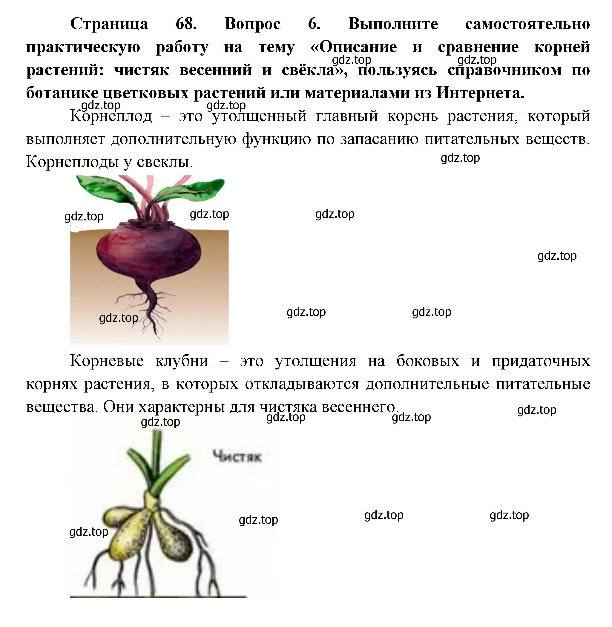 Решение номер 6 (страница 68) гдз по биологии 6 класс Пономарева, Корнилова, учебник