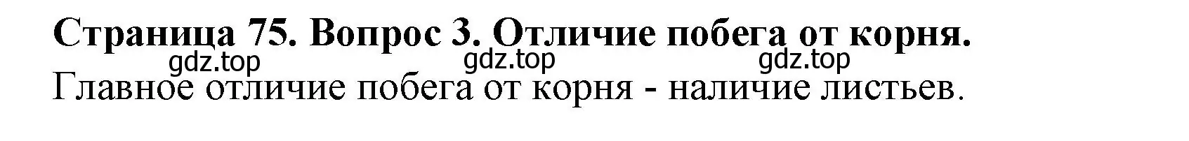 Решение номер 3 (страница 75) гдз по биологии 6 класс Пономарева, Корнилова, учебник