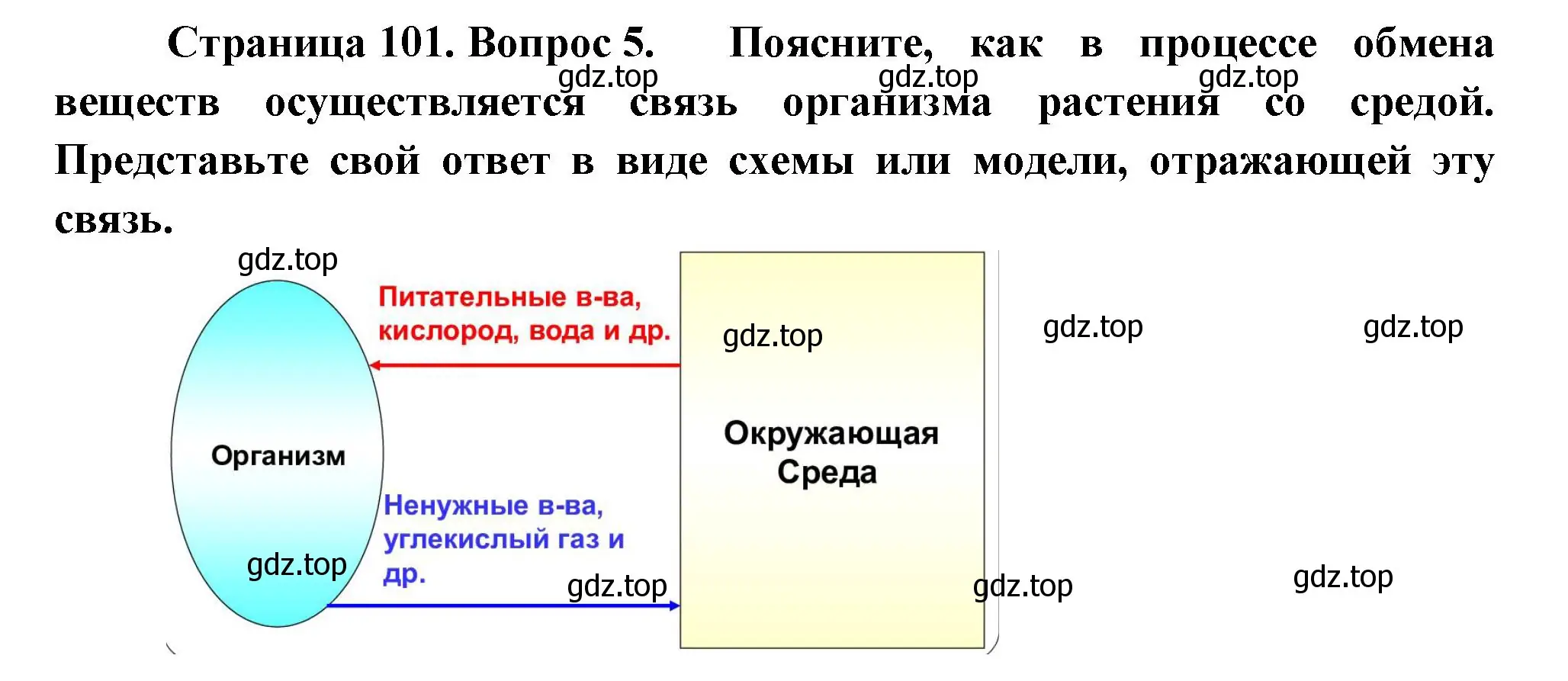 Решение номер 5 (страница 101) гдз по биологии 6 класс Пономарева, Корнилова, учебник