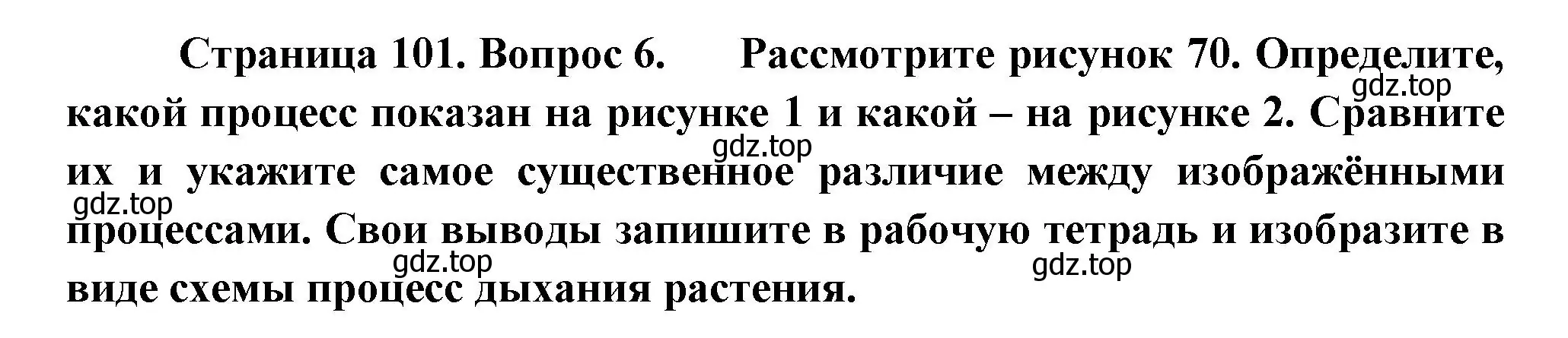 Решение номер 6 (страница 101) гдз по биологии 6 класс Пономарева, Корнилова, учебник