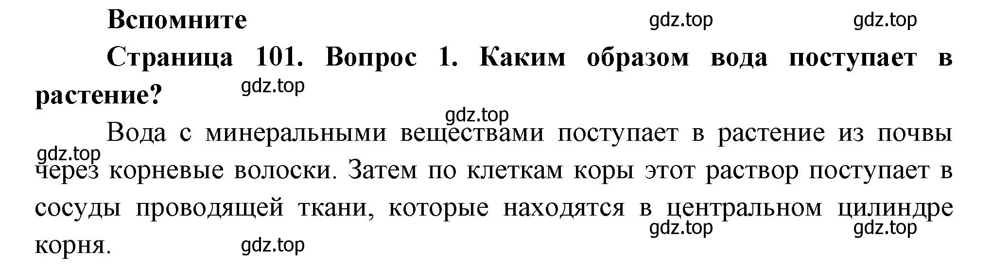 Решение номер 1 (страница 101) гдз по биологии 6 класс Пономарева, Корнилова, учебник