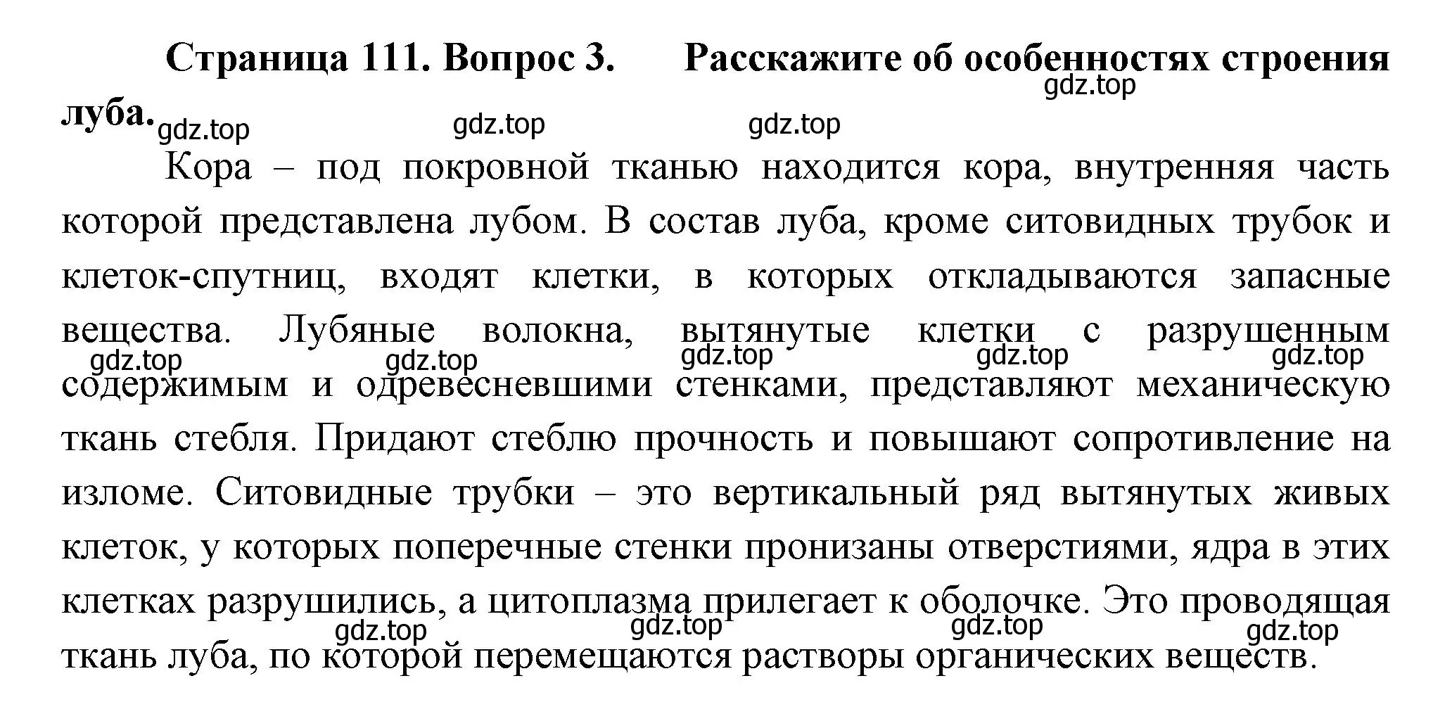 Решение номер 3 (страница 111) гдз по биологии 6 класс Пономарева, Корнилова, учебник