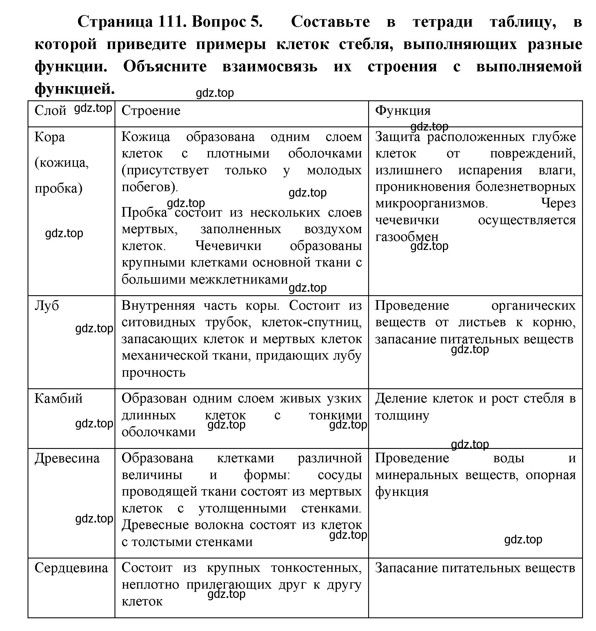 Решение номер 5 (страница 111) гдз по биологии 6 класс Пономарева, Корнилова, учебник