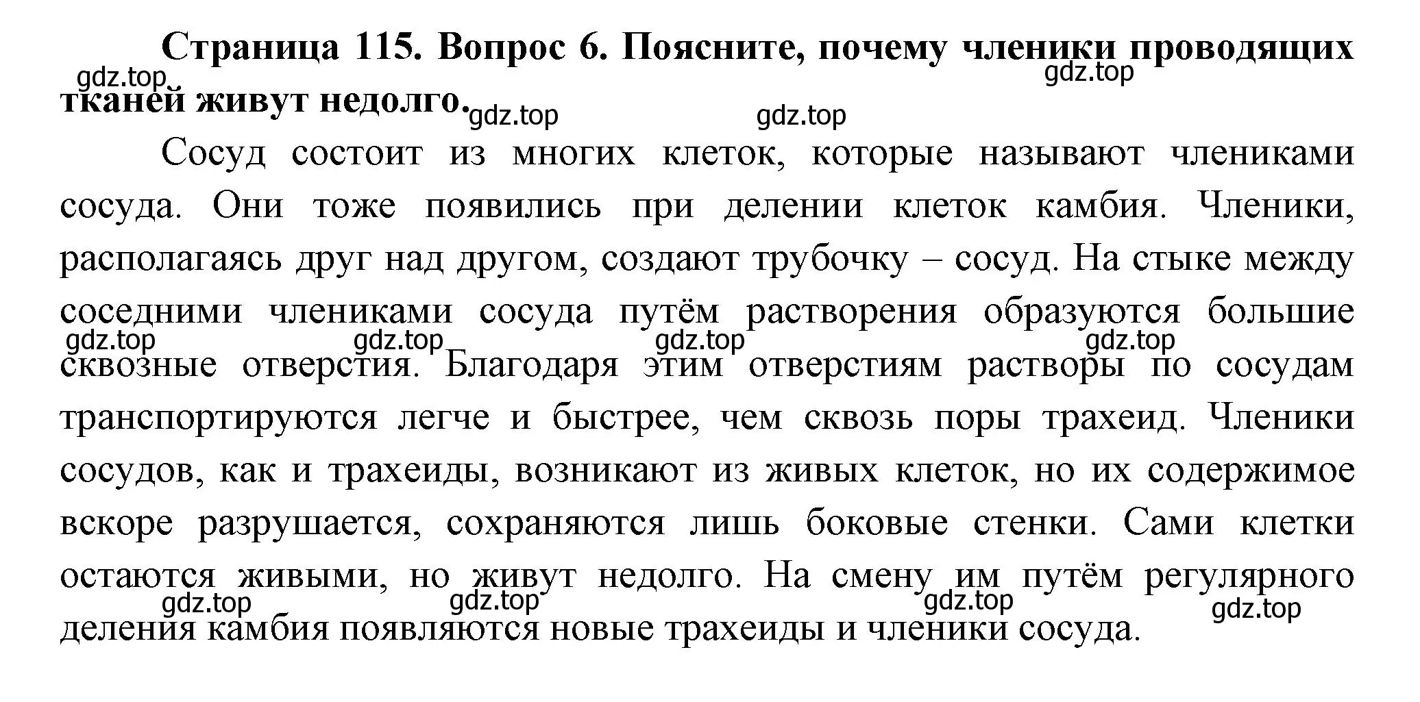 Решение номер 6 (страница 115) гдз по биологии 6 класс Пономарева, Корнилова, учебник