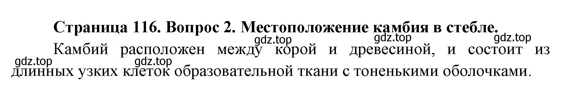 Решение номер 2 (страница 116) гдз по биологии 6 класс Пономарева, Корнилова, учебник