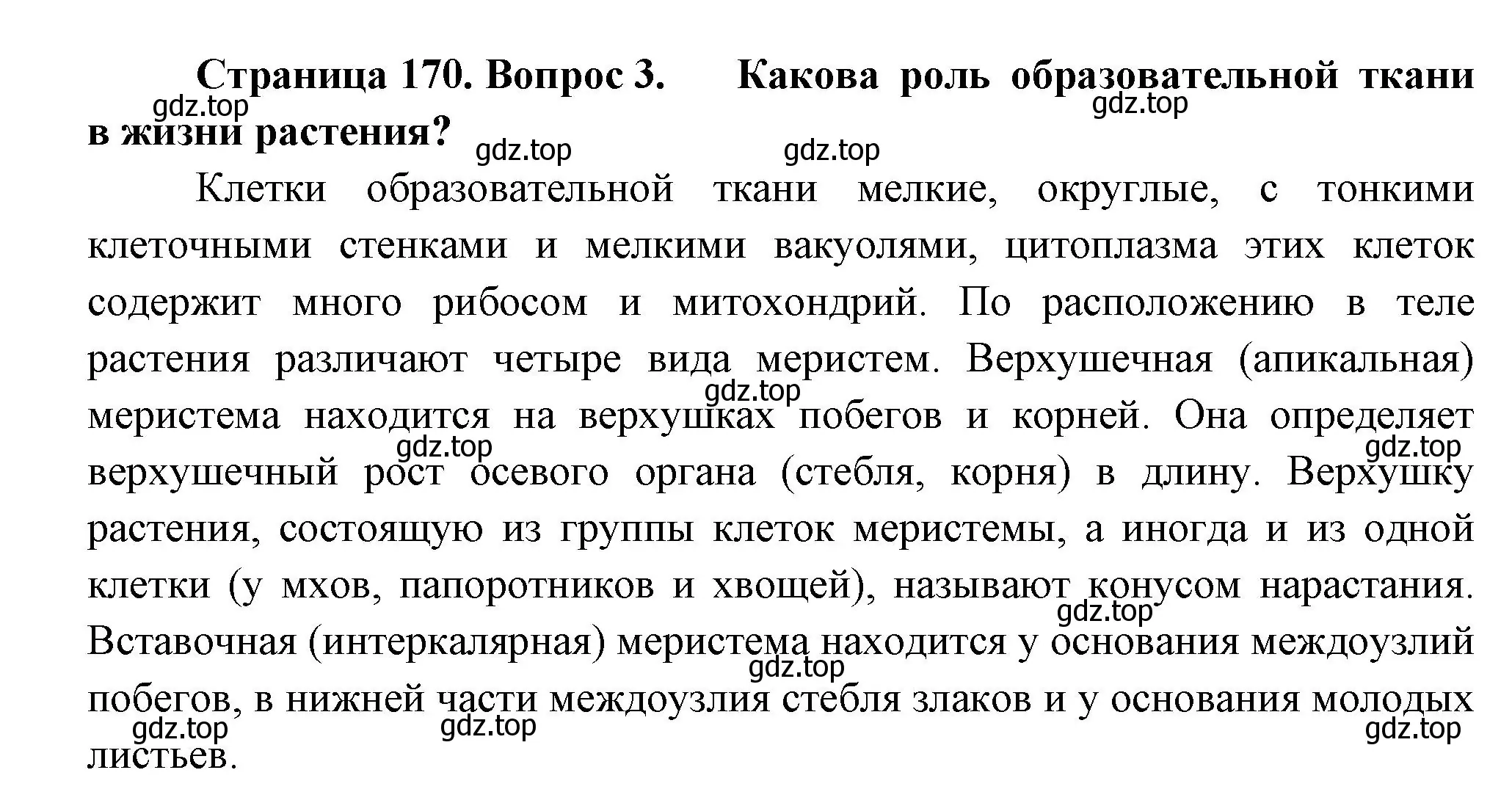 Решение номер 3 (страница 170) гдз по биологии 6 класс Пономарева, Корнилова, учебник