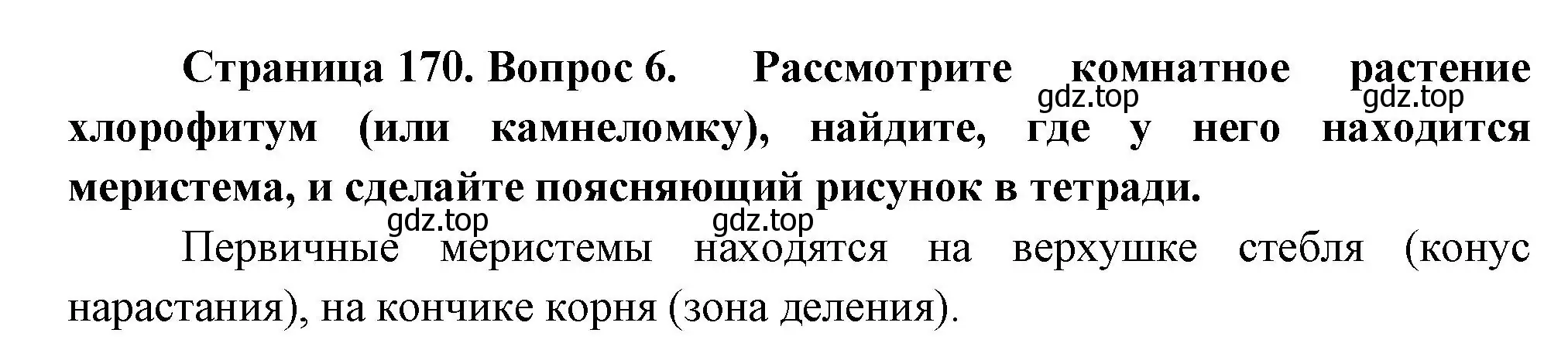 Решение номер 6 (страница 170) гдз по биологии 6 класс Пономарева, Корнилова, учебник