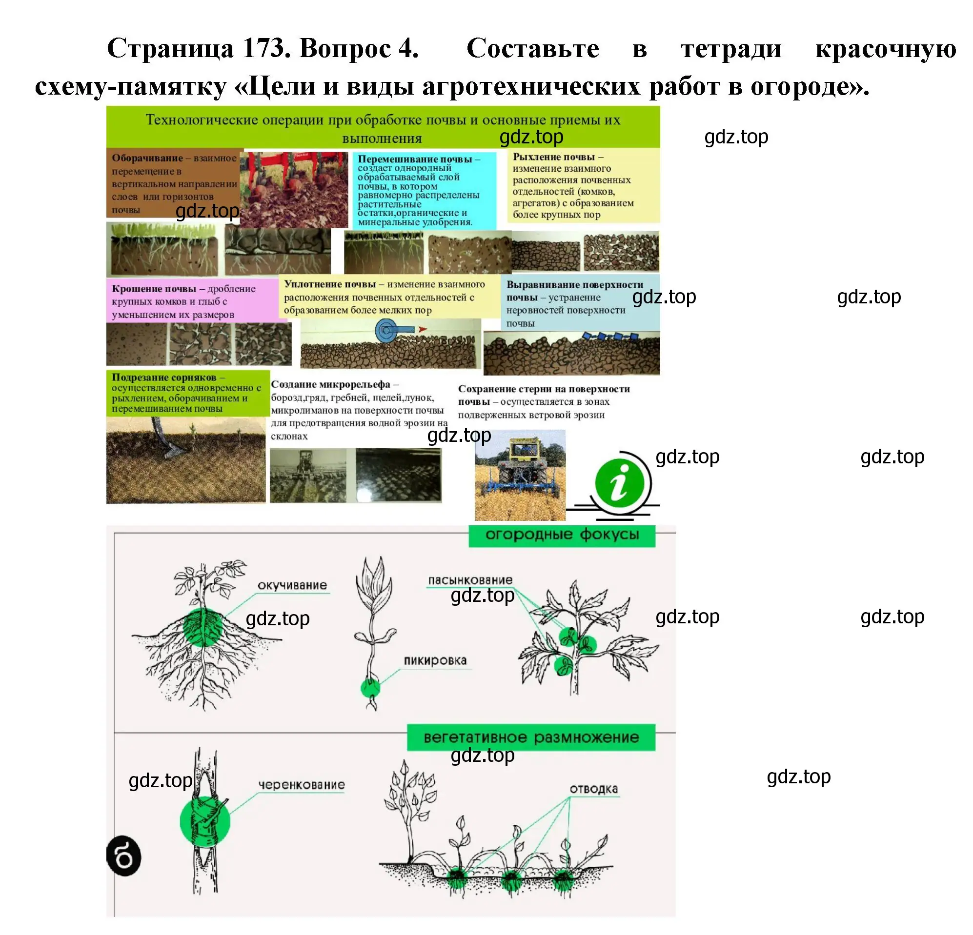 Решение номер 4 (страница 173) гдз по биологии 6 класс Пономарева, Корнилова, учебник