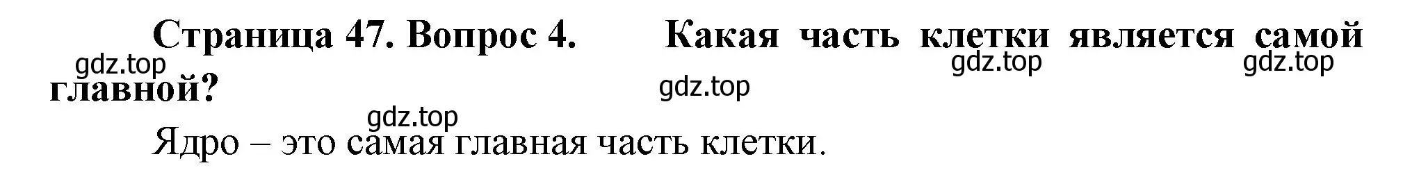 Решение номер 4 (страница 47) гдз по биологии 6 класс Пономарева, Корнилова, учебник