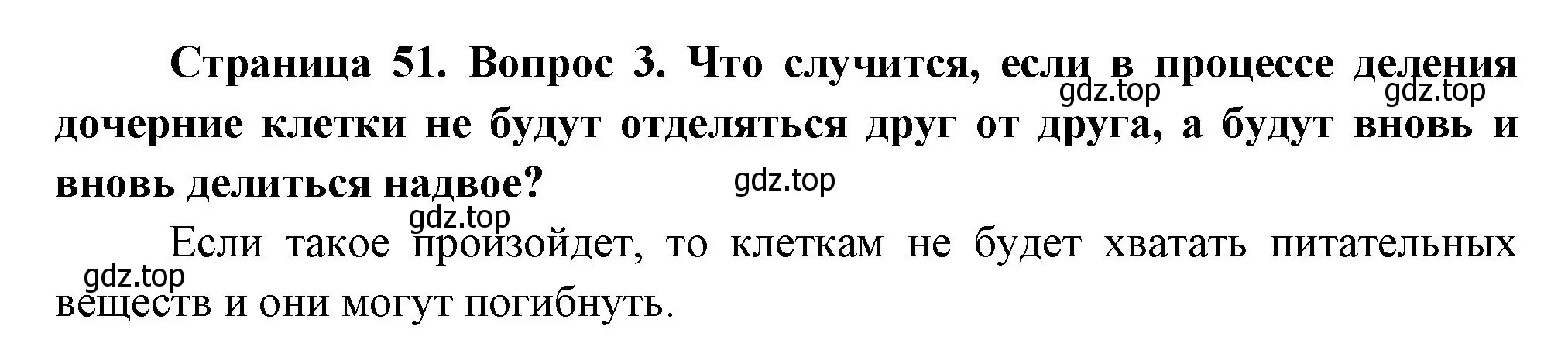 Решение номер 3 (страница 51) гдз по биологии 6 класс Пономарева, Корнилова, учебник