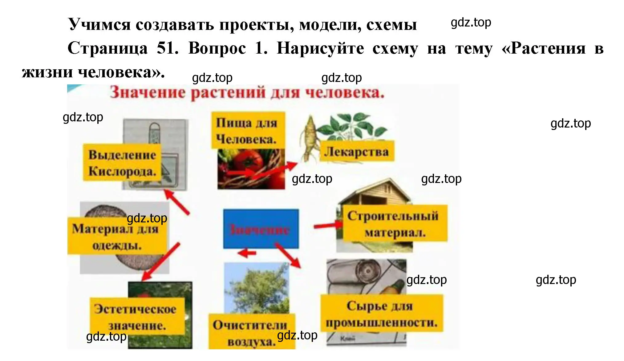 Решение номер 1 (страница 51) гдз по биологии 6 класс Пономарева, Корнилова, учебник