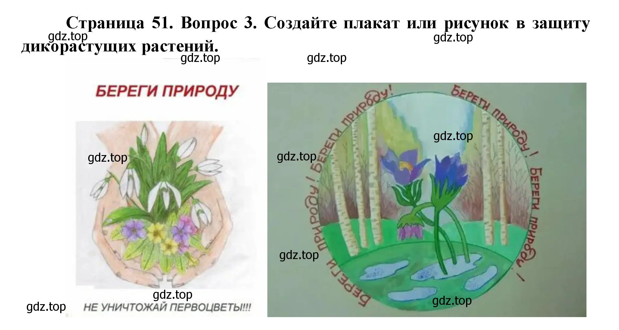 Решение номер 3 (страница 51) гдз по биологии 6 класс Пономарева, Корнилова, учебник