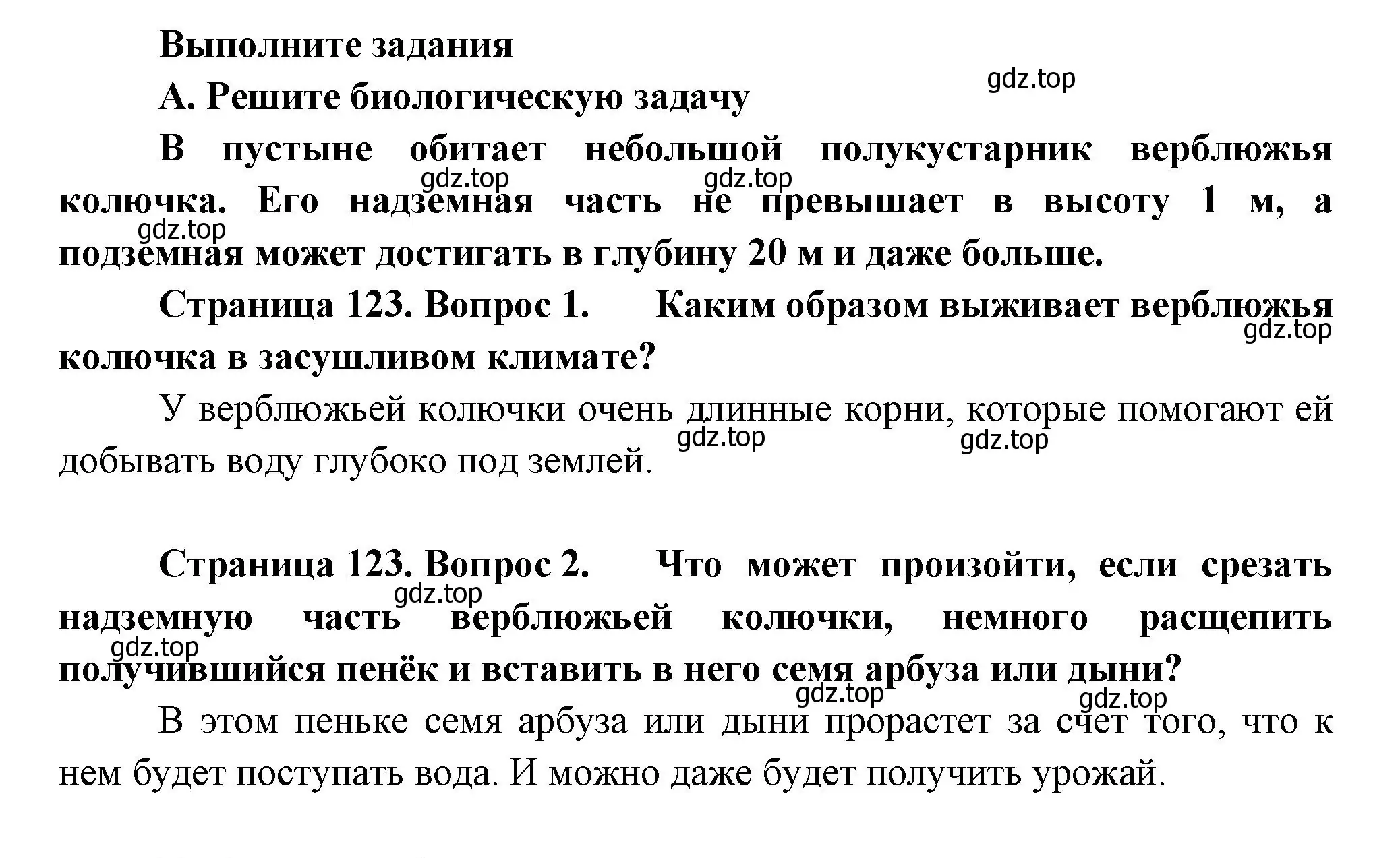 Решение  А (страница 123) гдз по биологии 6 класс Пономарева, Корнилова, учебник