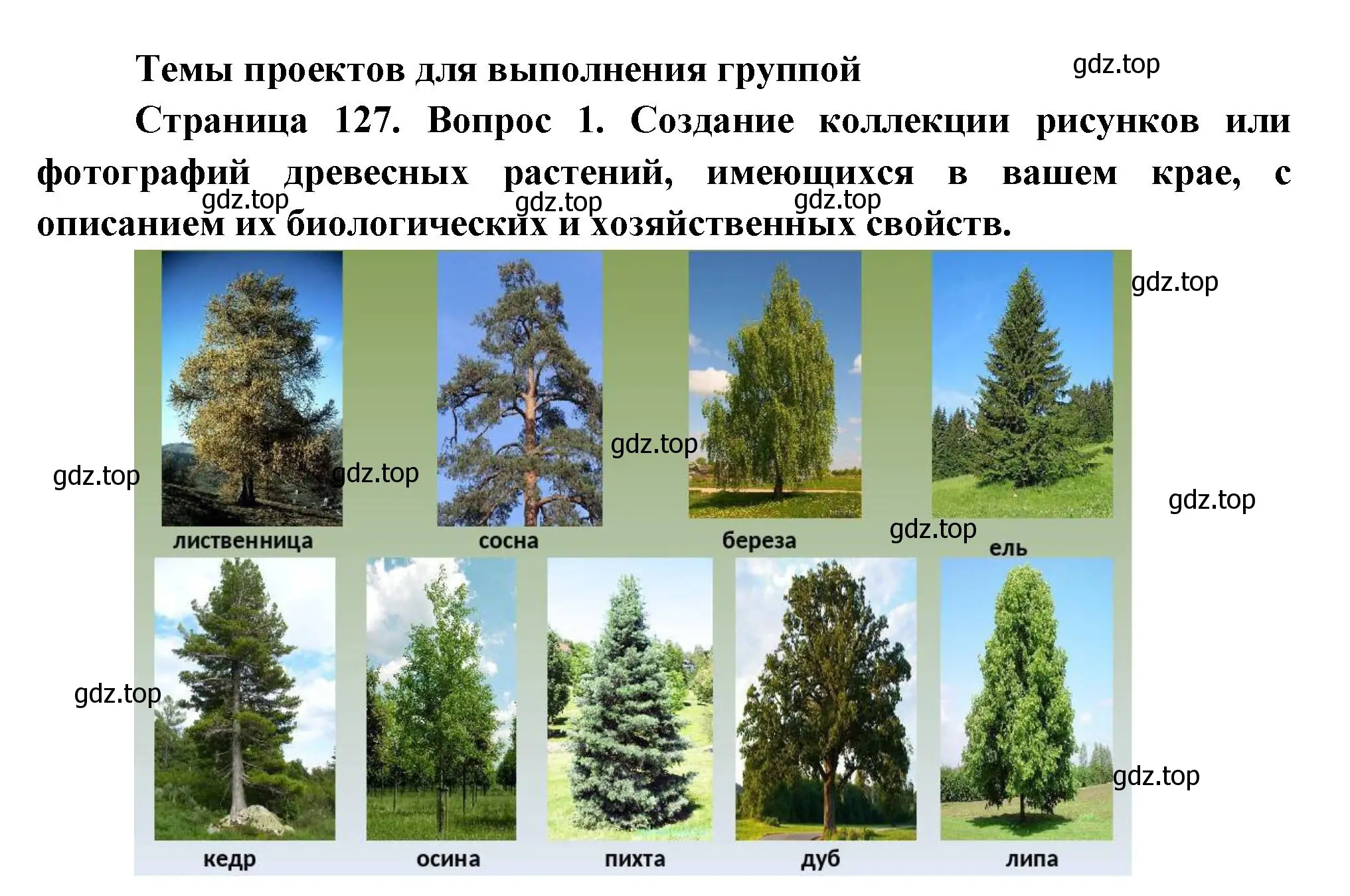 Решение номер 1 (страница 127) гдз по биологии 6 класс Пономарева, Корнилова, учебник