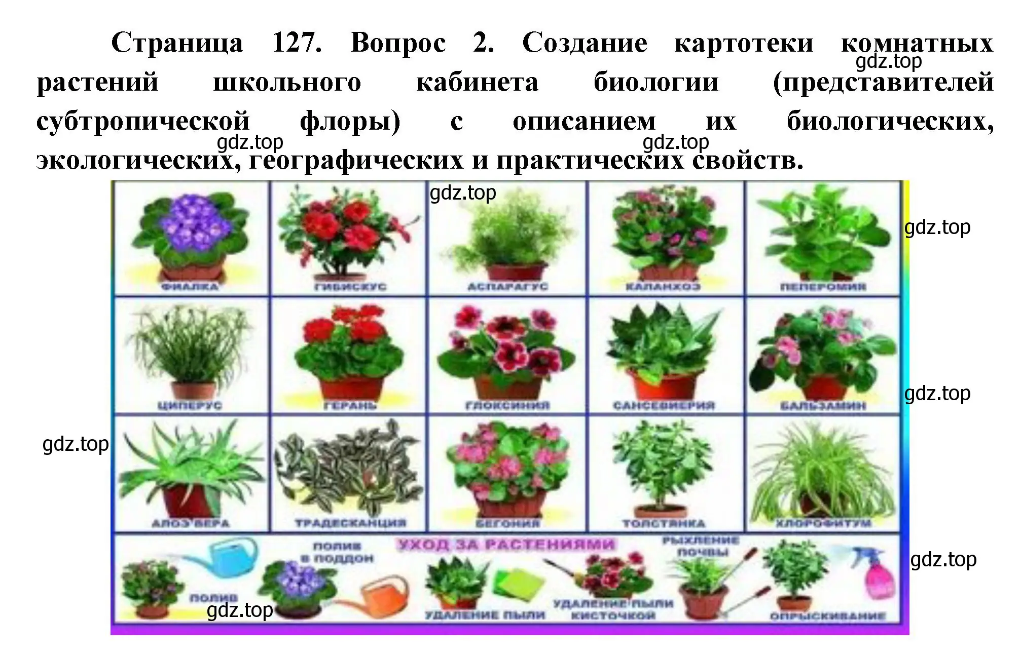 Решение номер 2 (страница 127) гдз по биологии 6 класс Пономарева, Корнилова, учебник