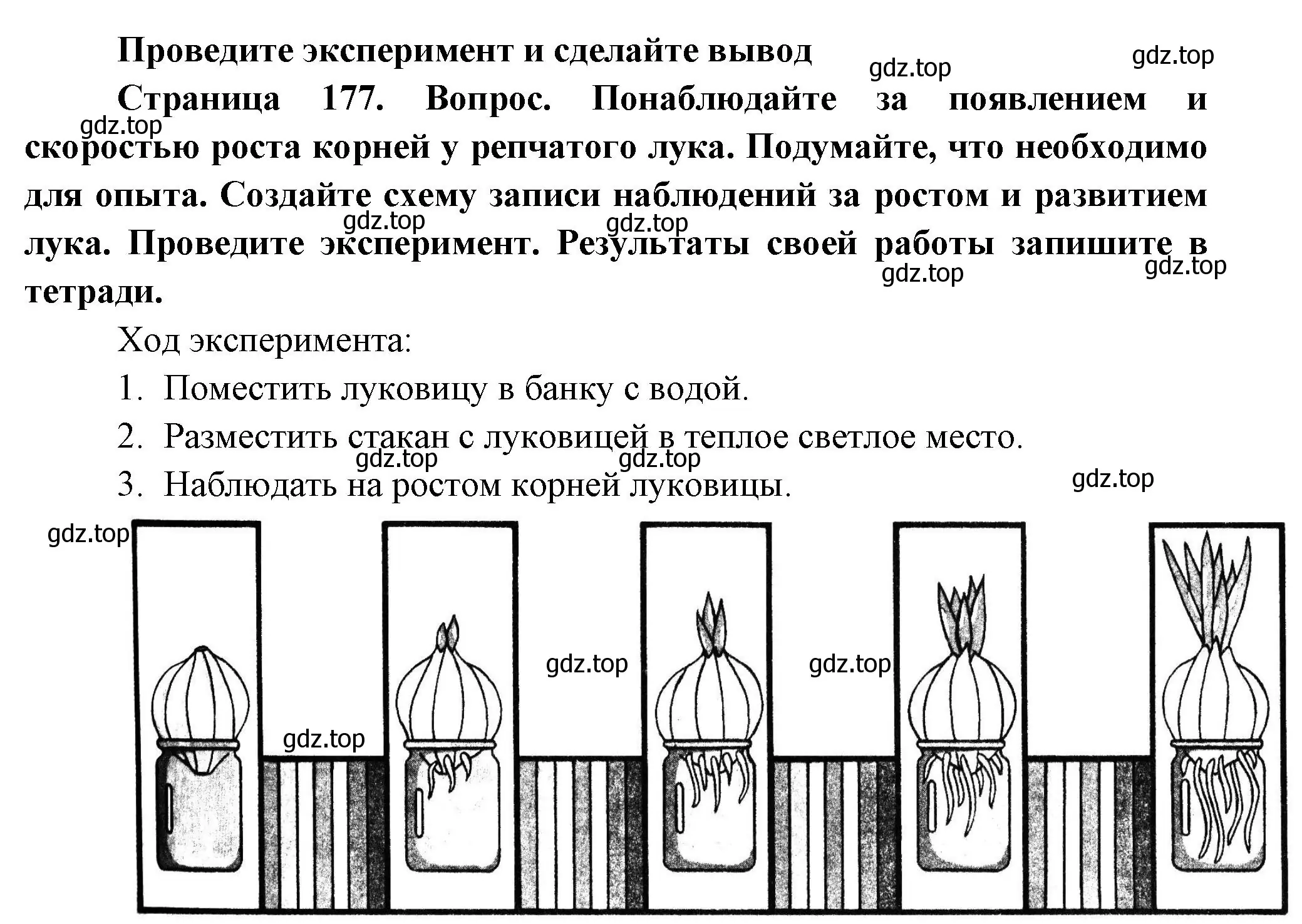 Решение номер 1 (страница 177) гдз по биологии 6 класс Пономарева, Корнилова, учебник