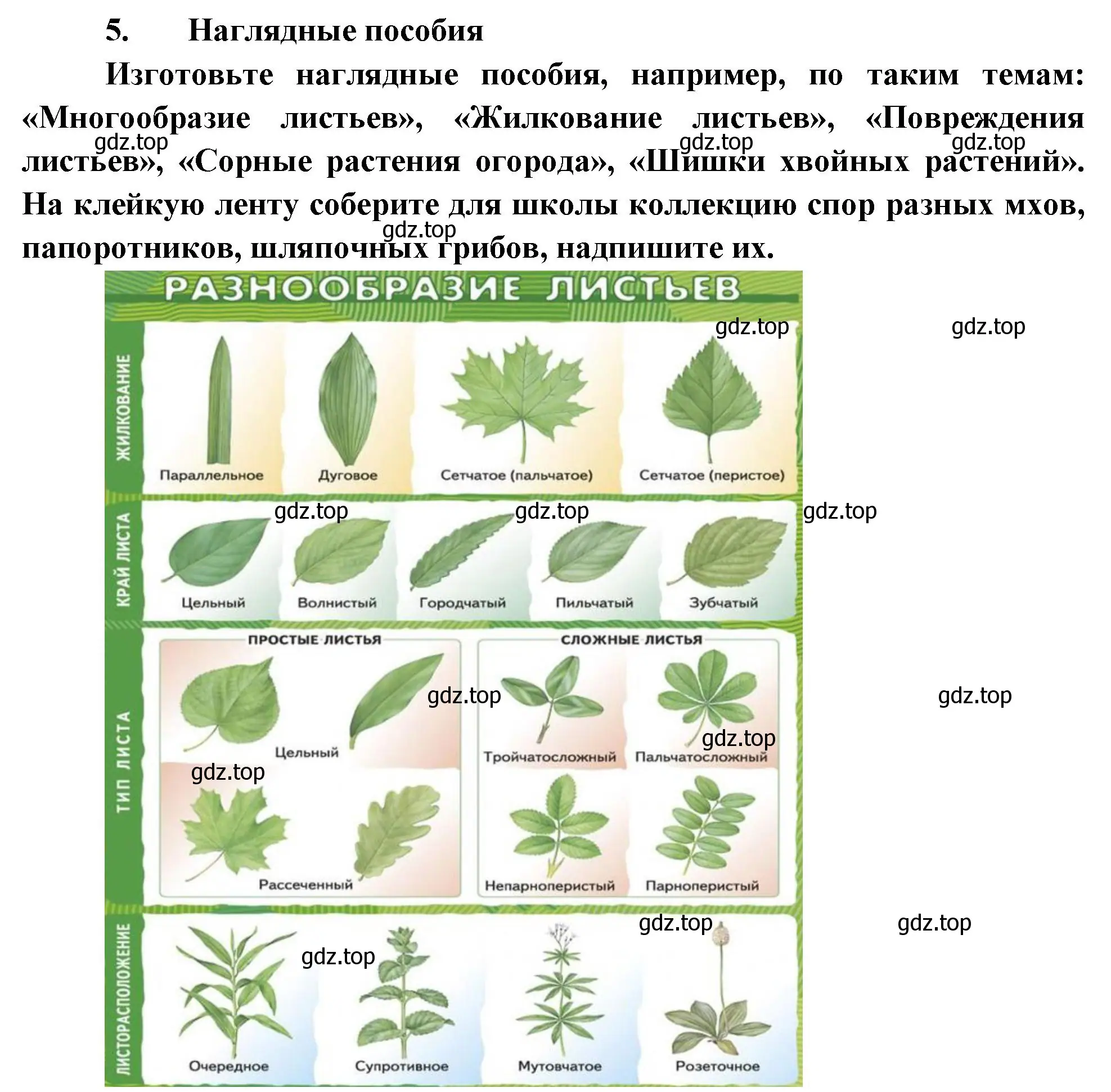 Решение номер 5 (страница 179) гдз по биологии 6 класс Пономарева, Корнилова, учебник