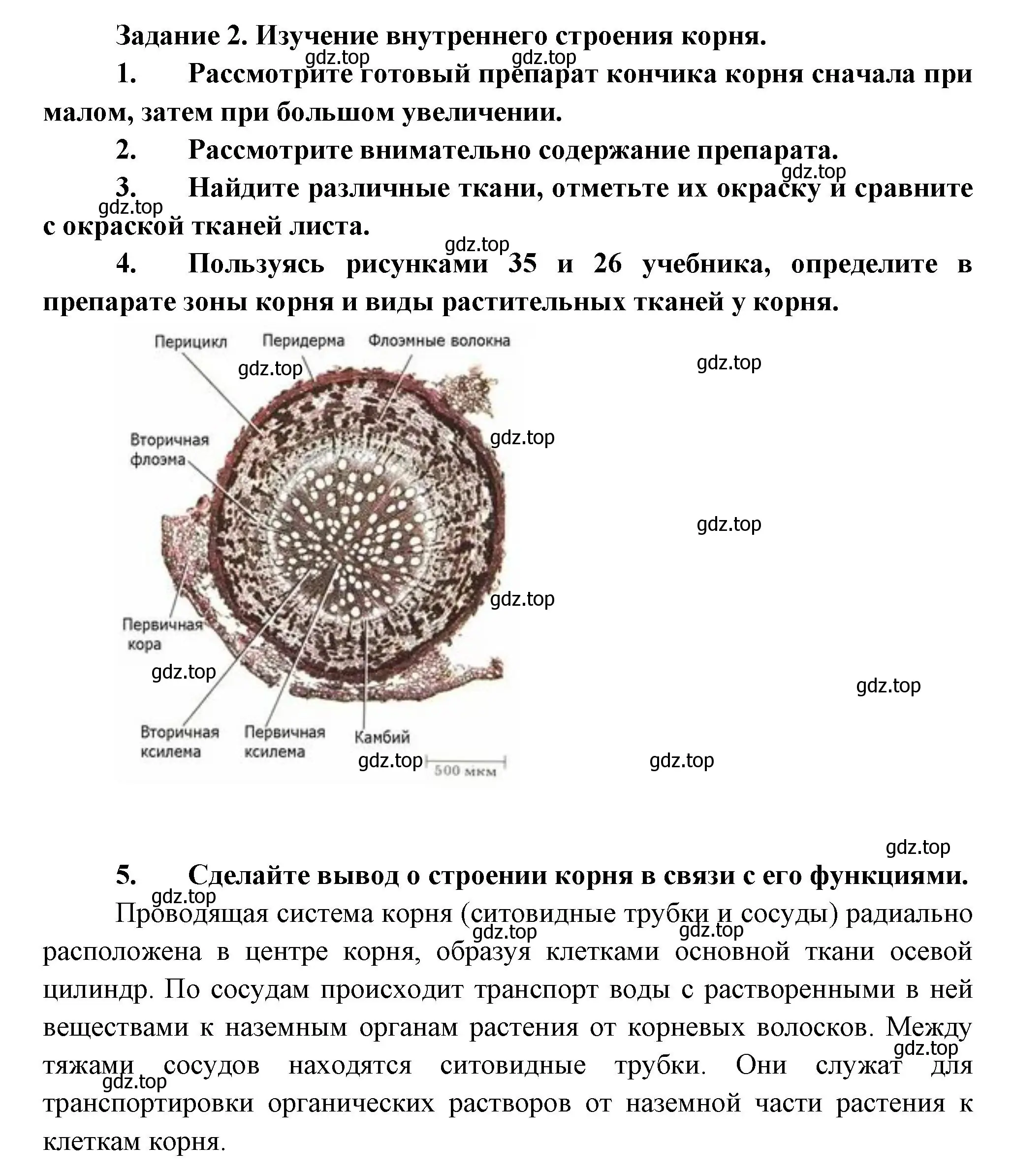 Решение номер 2 (страница 57) гдз по биологии 6 класс Пономарева, Корнилова, учебник