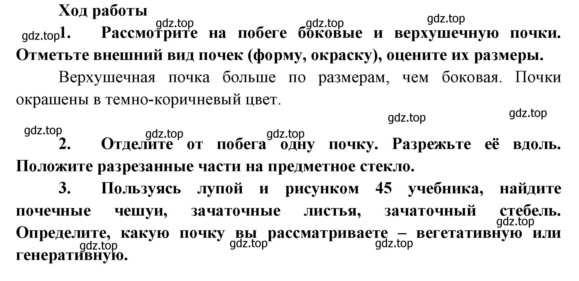 Решение  Лабораторная работа 5 (страница 74) гдз по биологии 6 класс Пономарева, Корнилова, учебник