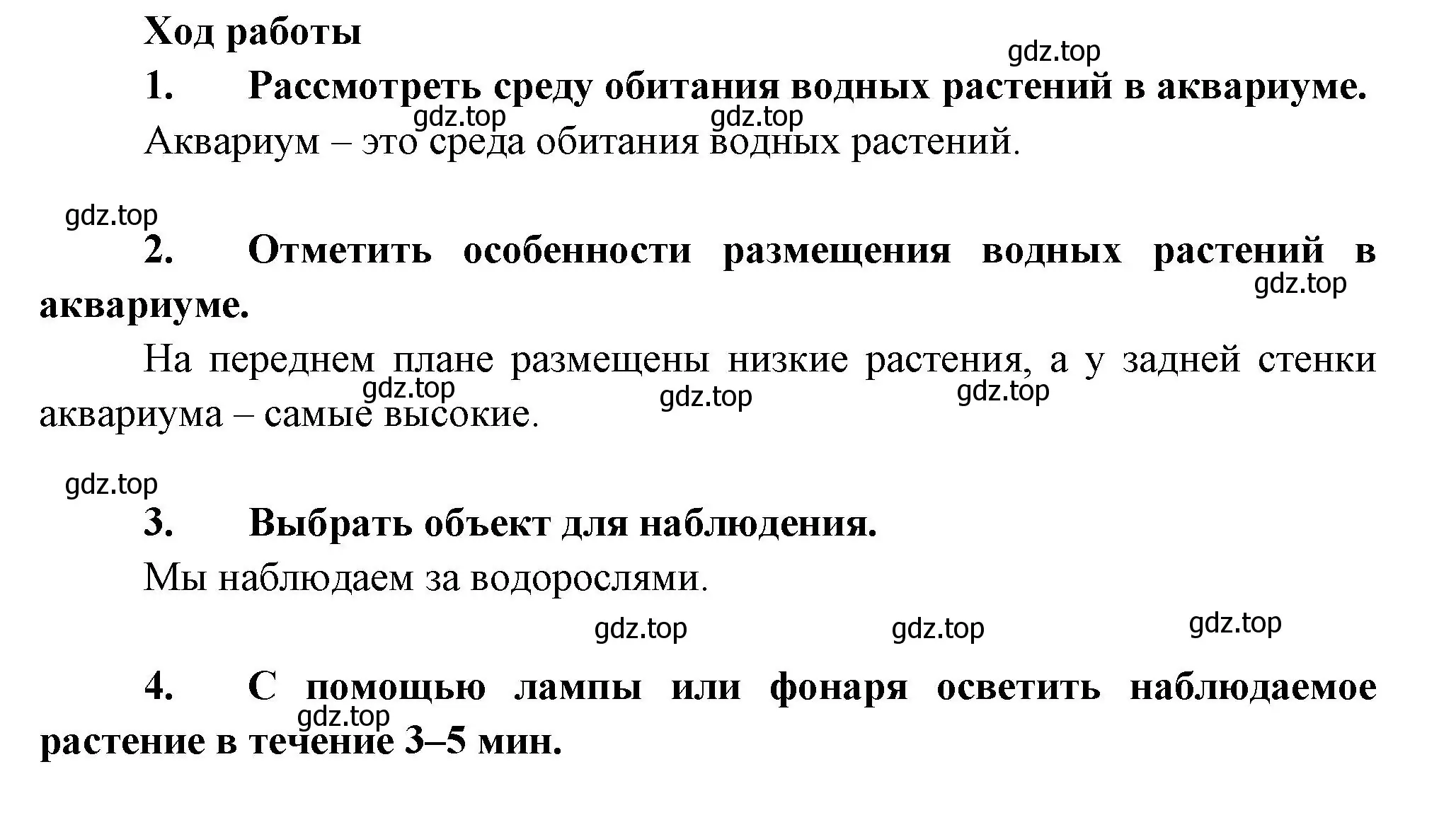 Решение  Лабораторная работа 8 (страница 92) гдз по биологии 6 класс Пономарева, Корнилова, учебник