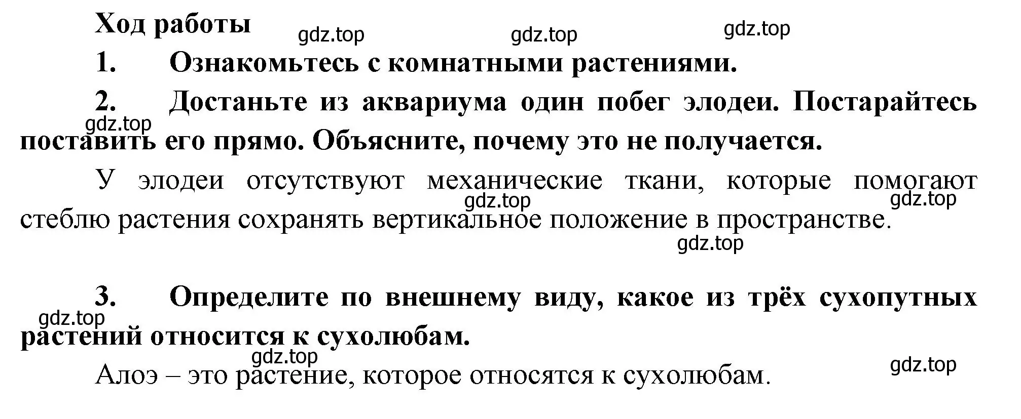 Решение  Лабораторная работа 9 (страница 105) гдз по биологии 6 класс Пономарева, Корнилова, учебник